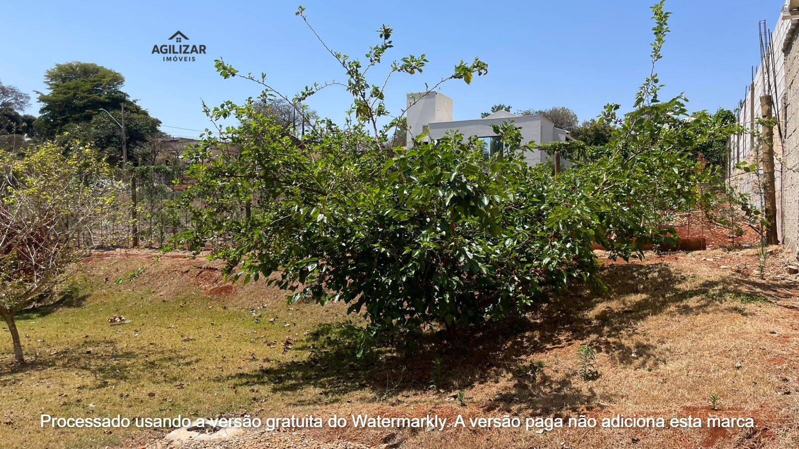 Sítio, 3 quartos, 1170 m² - Foto 24