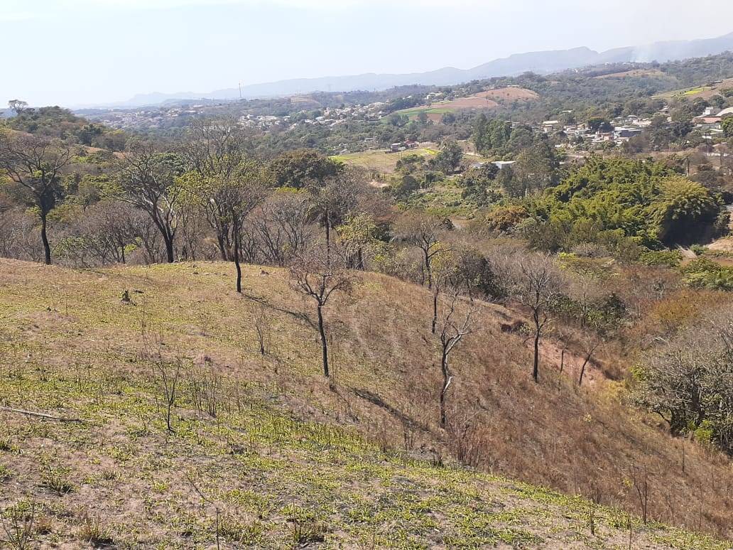 Terreno, 13 m² - Foto 3