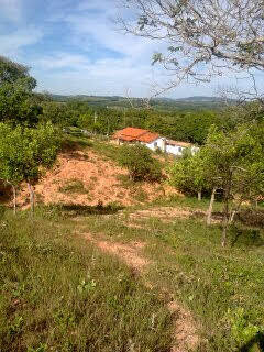 Casa, 5 quartos - Foto 3