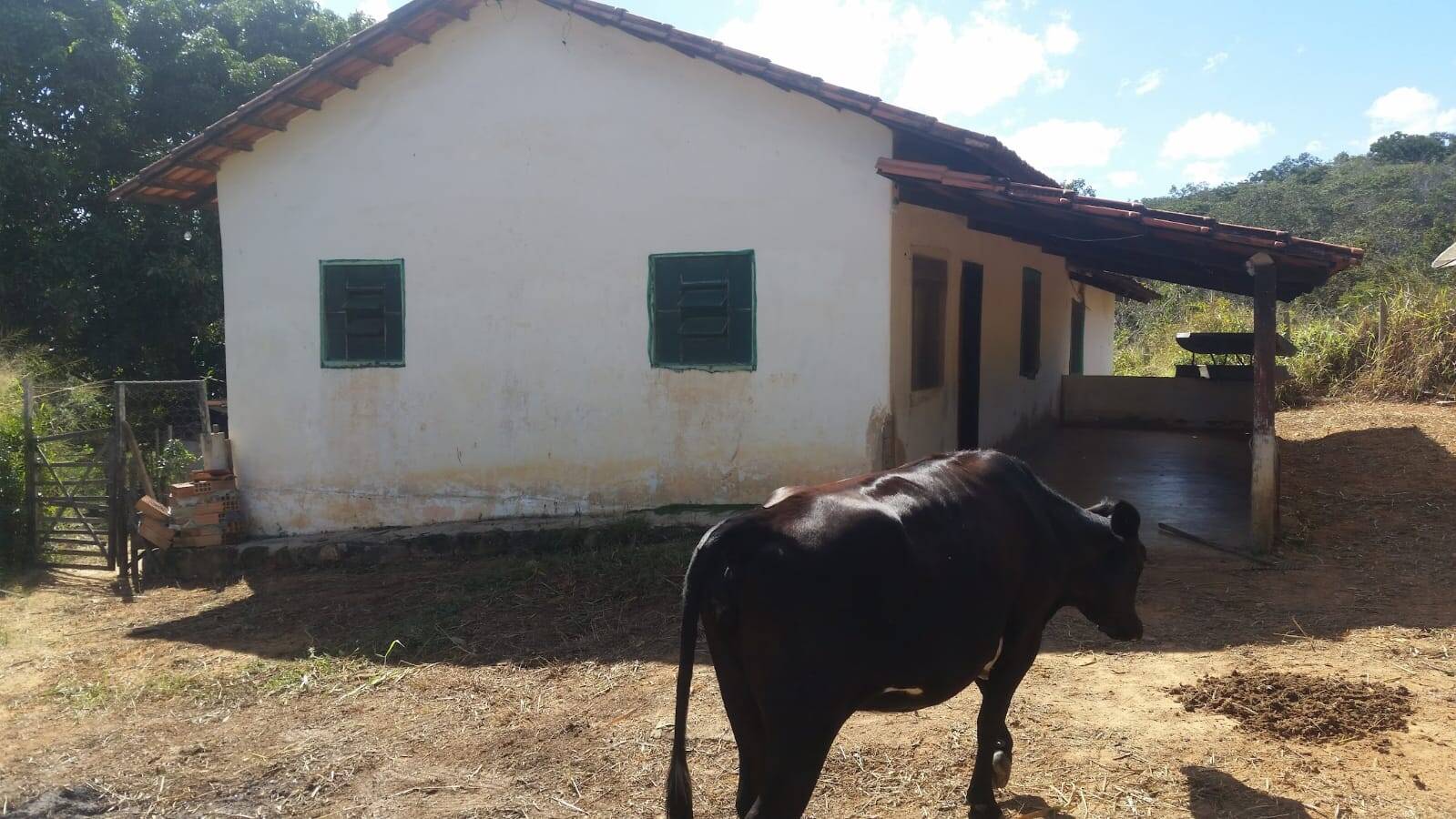 Casa, 5 quartos - Foto 11