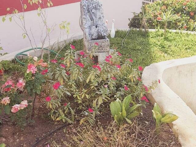 Apartamento para Venda em Belo Horizonte - 3