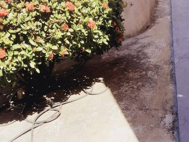 Apartamento para Venda em Belo Horizonte - 2