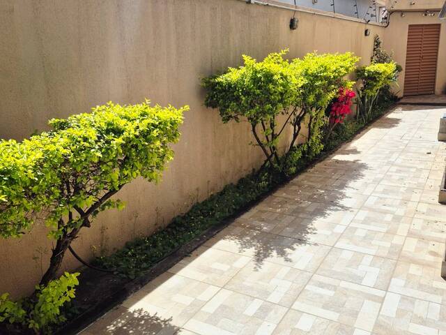 Apartamento para Locação em Belo Horizonte - 2