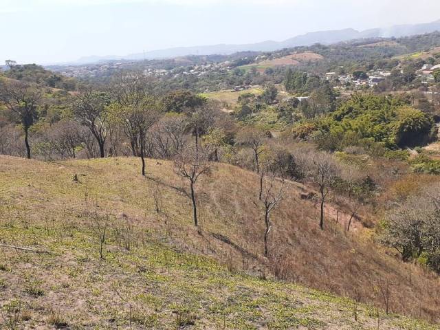 #311 - Área para Venda em São Joaquim de Bicas - MG