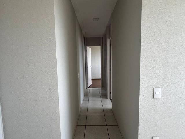 Apartamento para Locação em Belo Horizonte - 4