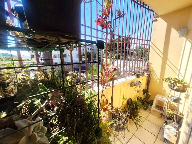 Apartamento para Venda em Belo Horizonte - 5
